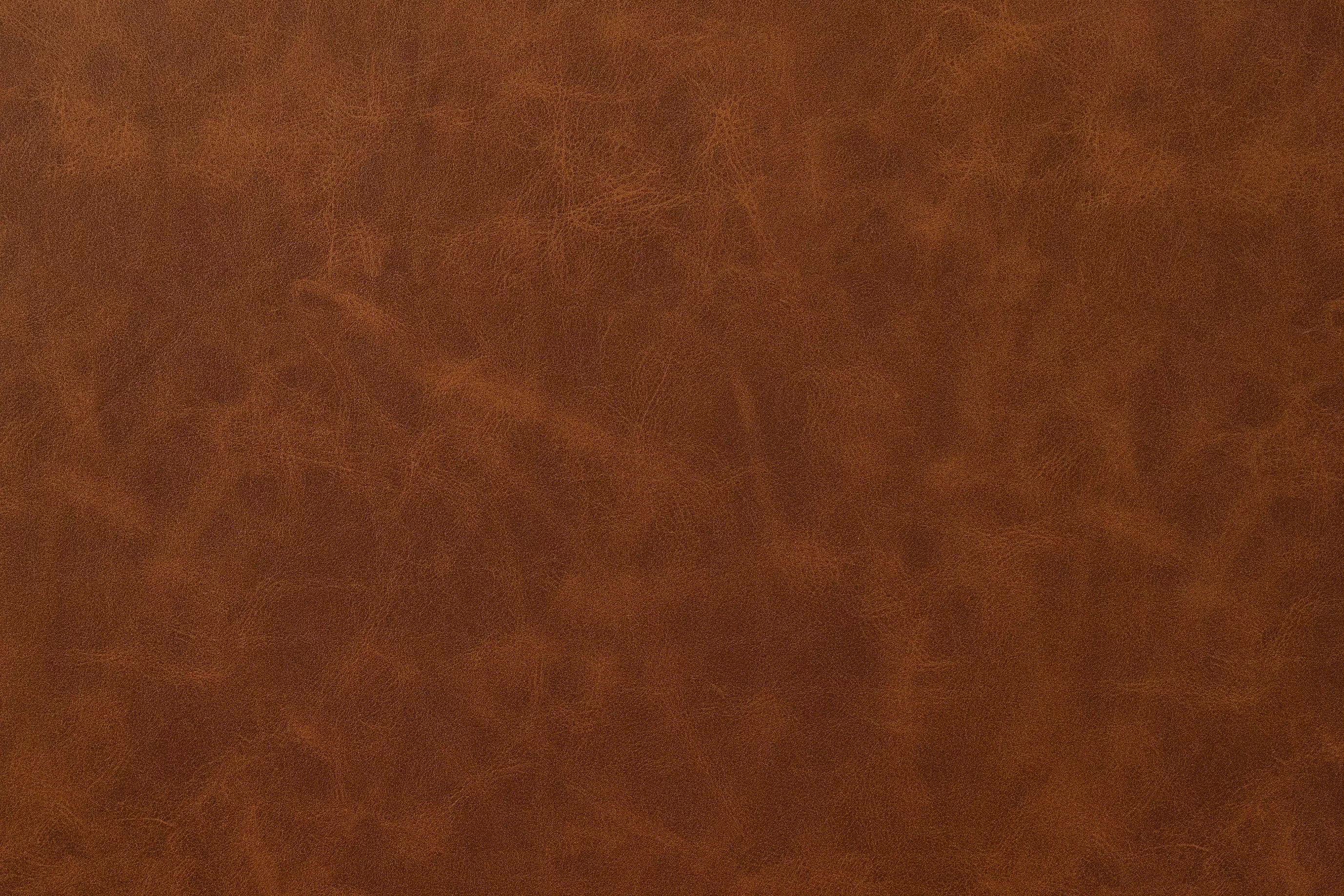 Accent Chair || F1947 / F1948