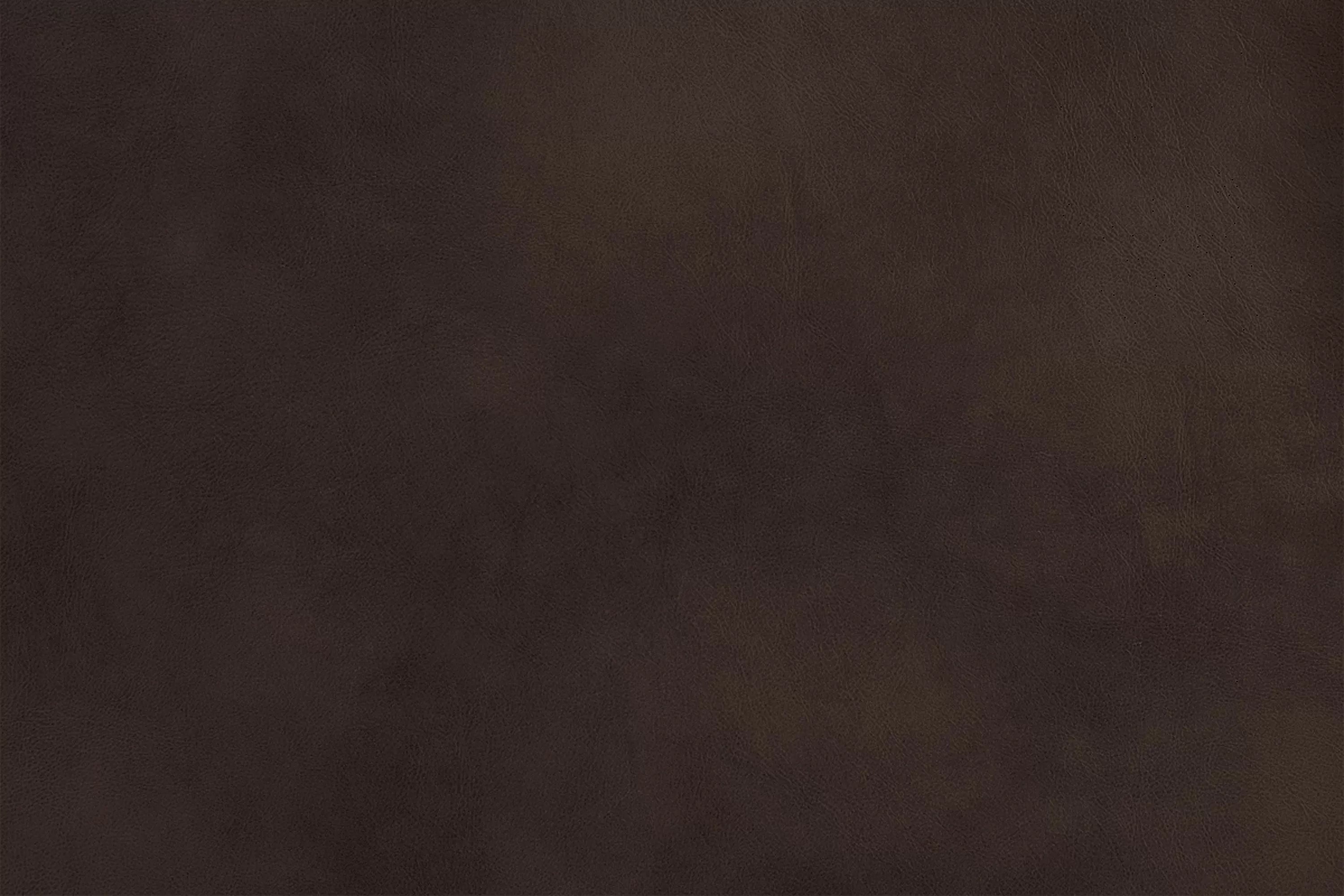 Motion Loveseat ||  F6749/ F6753