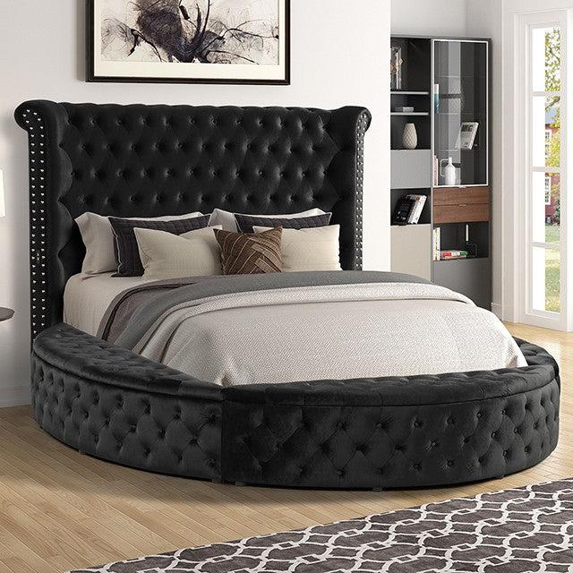 Sansom Queen Bed Frame     |     CM7178BK