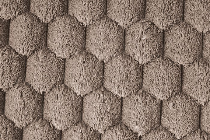 Ferryhill 2-Arm Chaise