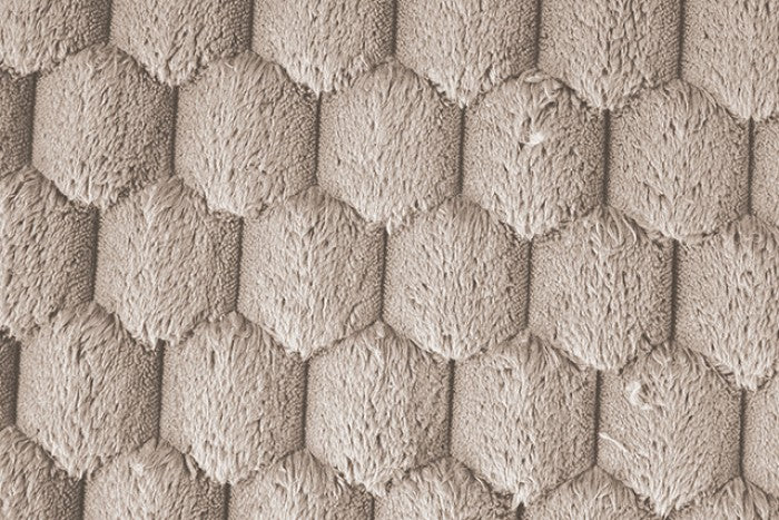 Ferryhill 2-Arm Chaise