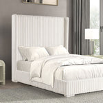 Cadwell Queen Bed - White